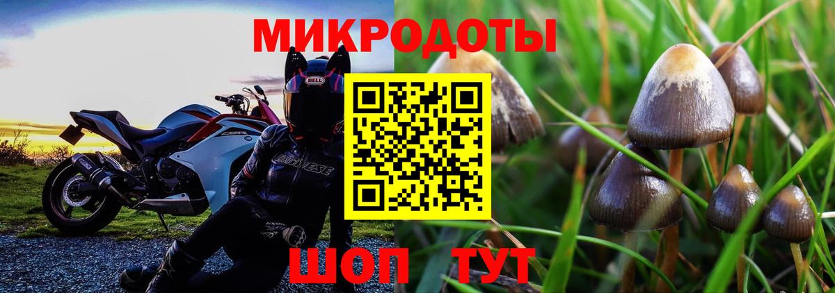 Бузулук  как найти закладки  Галлюциногенные грибы GOLDEN TEACHER  Вход с VPN  Псилоцибиновые грибы Psilocybine cubensis 